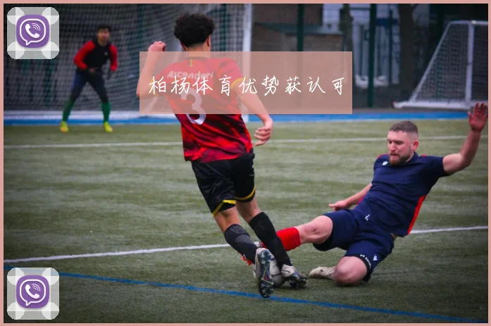 柏杨体育优势获认可